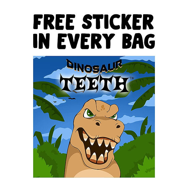 Dinosaur Teeth