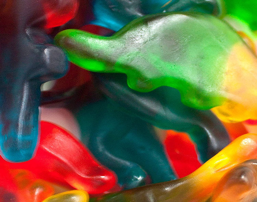 Dinosaur Guts