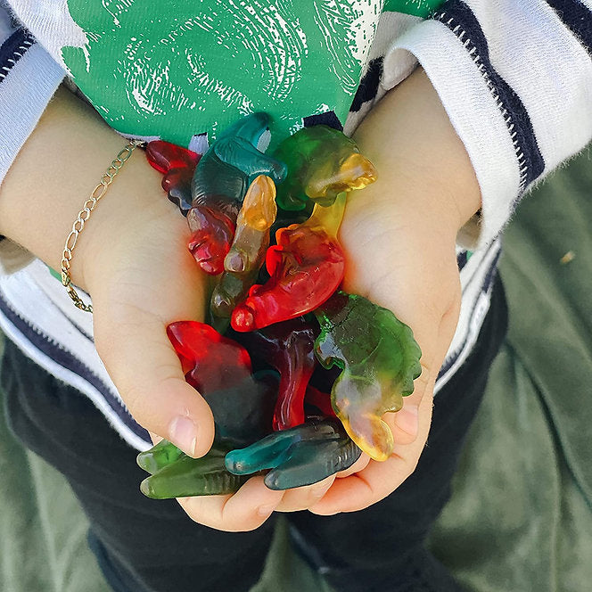 Dinosaur Guts